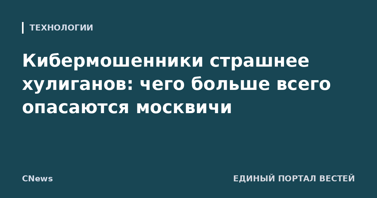 Кибермошенники страшнее хулиганов: чего больше всего опасаются москвичи