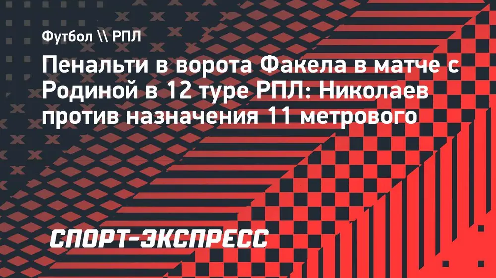 Экс-арбитр ФИФА Николаев считает, что арбитру не следовало назначать пенальти в ворота «Факела»
