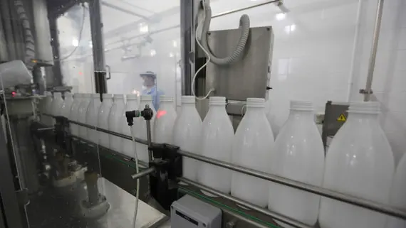 Россия за год нарастила экспорт молока и сливок на 11%