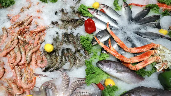 Темп роста выпуска мороженых креветок обгоняет другие сегменты рыбопродукции