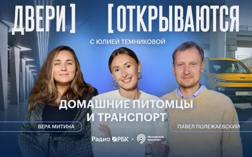 Эксперты рассказали, как перевозить животных в транспорте