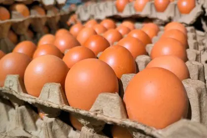 Эксперт по долголетию призвал до конца жизни ежедневно есть один продукт