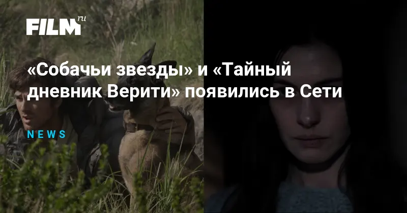 Собачьи звезды и Верити в Сети