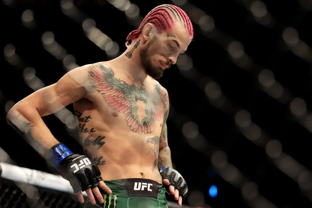 О’Мэлли: не суйтесь в UFC, если хотите много заработать
