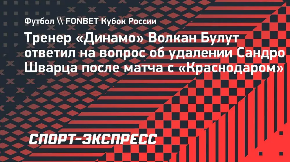 Булут — об удалении Шварца после матча «Динамо»: «Он ничего плохого судье не говорил»