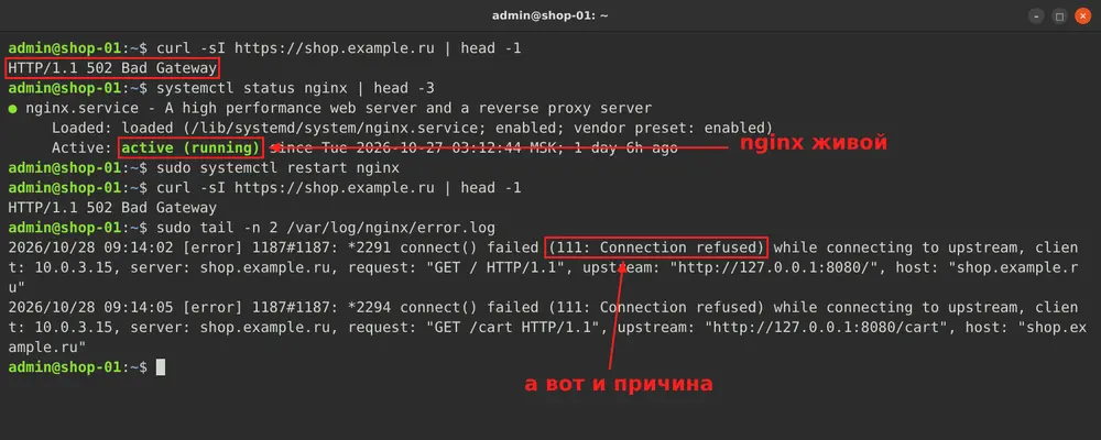 502 Bad Gateway: три причины и куда смотреть