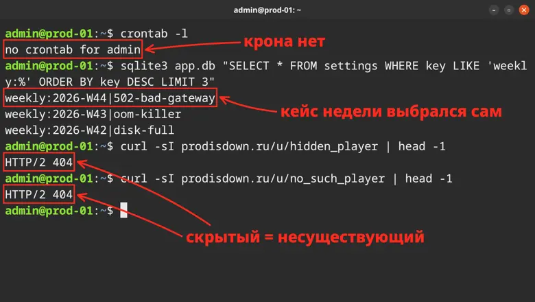 Дежурство недели: еженедельный рейтинг на Flask и SQLite без крона